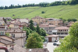 Italienische Kleinstadt mit Weinbergen.