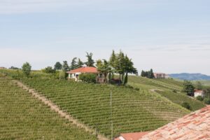 Weinberglandschaft mit Häusern und Hügeln.