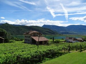 Haus mit Weingarten und Seeblick