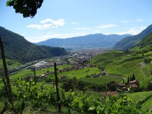 Landschaftsblick auf Weinberge und Stadt im Tal