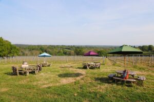 Picknicktische und Sonnenschirme in einem Weinberg.