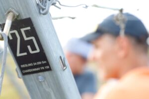 Unscharfe Männer hinter Weinberg-Pfostenschild "25