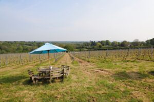 Picknicktisch unter Schirm in Weinberglandschaft.