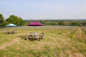 Weinberg mit Picknicktischen und Sonnenschirmen in der Landschaft.